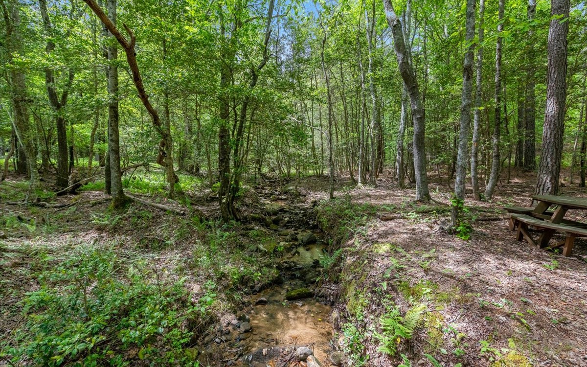 Lt158 Stables Loop Blairsville, GA 30512 - Photo 40 of 42 a view of outdoor space with trees all around
