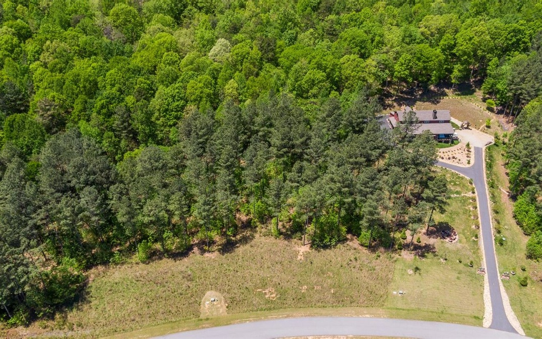 Lt158 Stables Loop Blairsville, GA 30512 - Photo 4 of 42 a view of a yard with plants