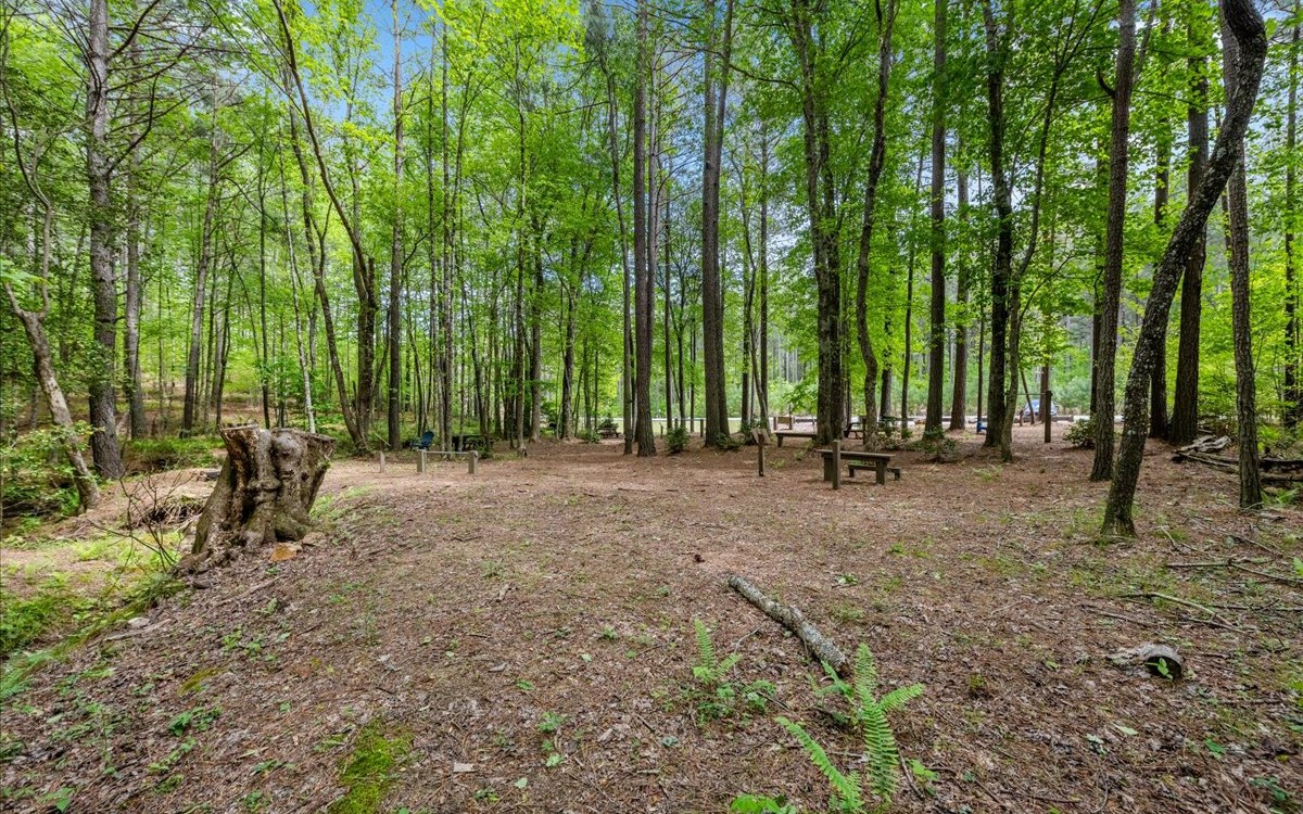 Lt158 Stables Loop Blairsville, GA 30512 - Photo 41 of 42 a view of outdoor space with deck and yard
