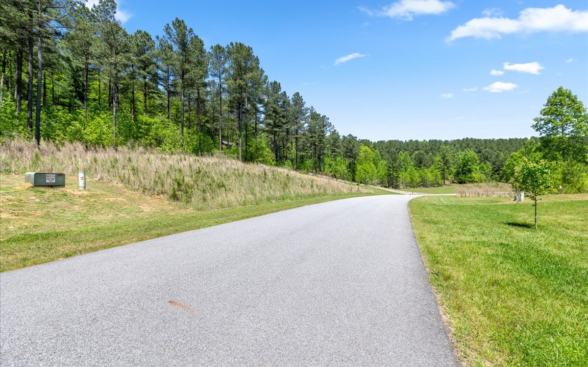 Lt158 Stables Loop Blairsville, GA 30512 - Photo 9 of 42 a view of a big yard with large trees