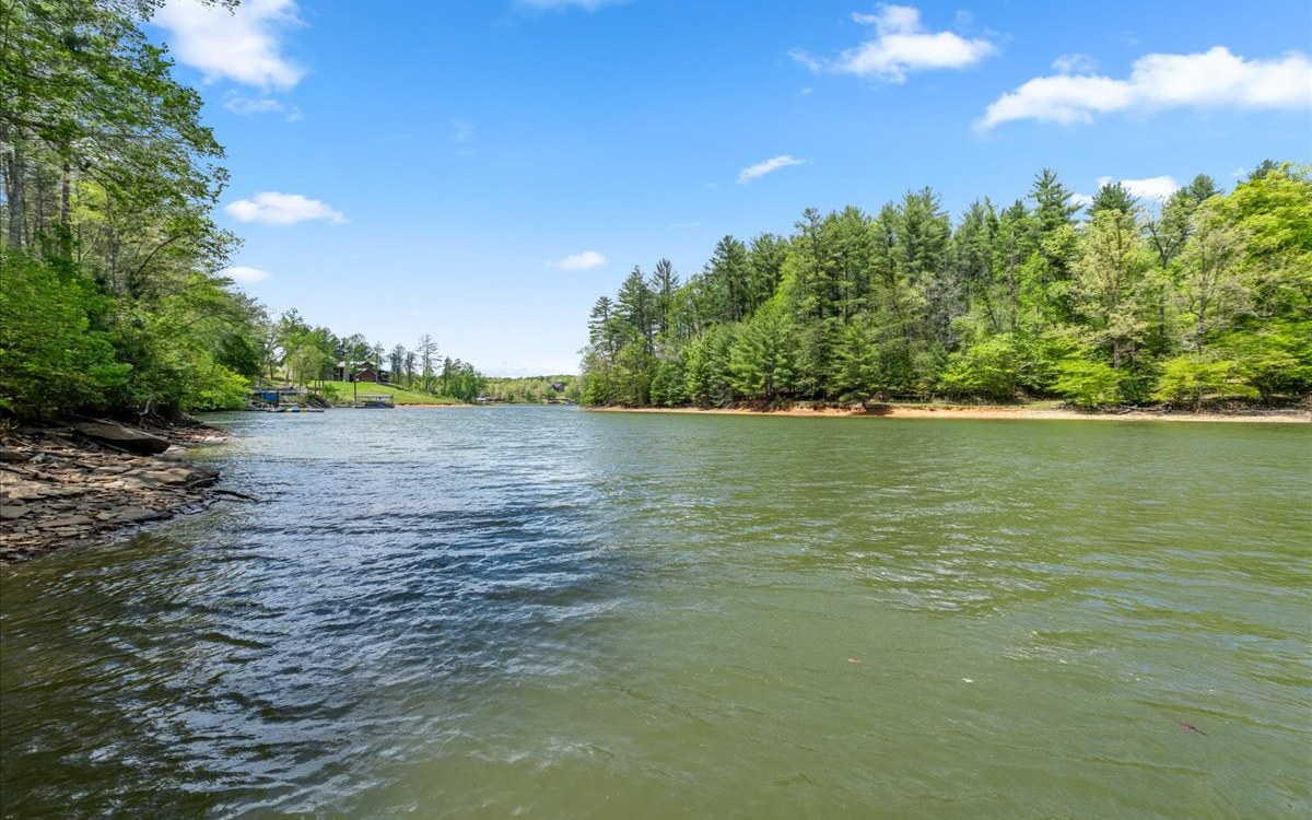 Lt158 Stables Loop Blairsville, GA 30512 - Photo 10 of 42 a view of a lake view