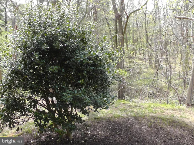 $3,194 | 12214 Greenleaf Avenue, Potomac, MD 20854