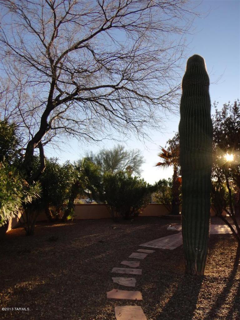 1429 North Bank Swallow Road Green Valley, AZ 85614 - Photo 32 of 34 a view of outdoor space and yard