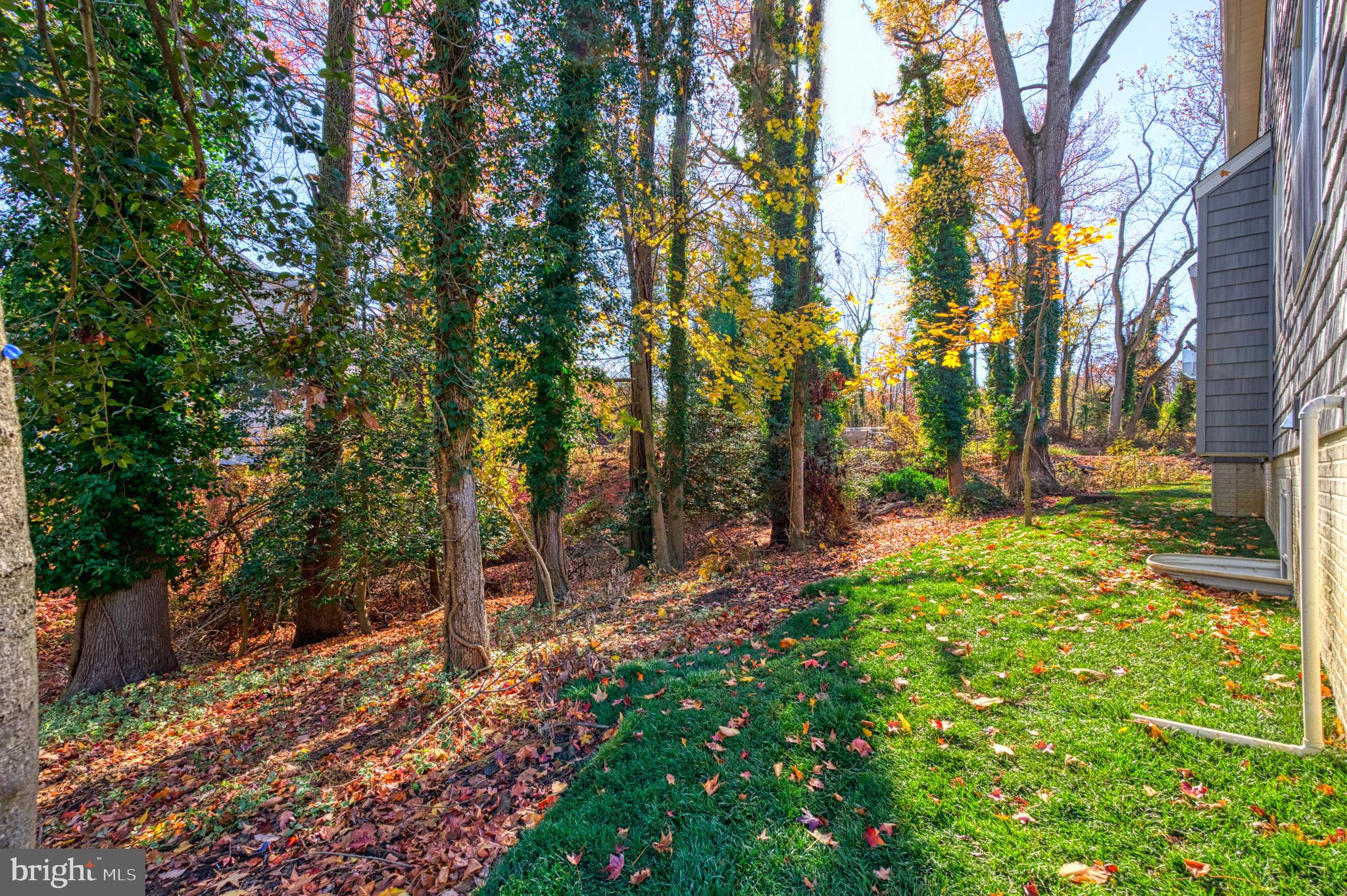 2644 Claibourne Road Annapolis, MD 21403 - Photo 54 of 56