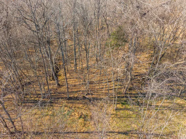 $100,000 | 3650 Lake Road, Woodlawn, TN 37191