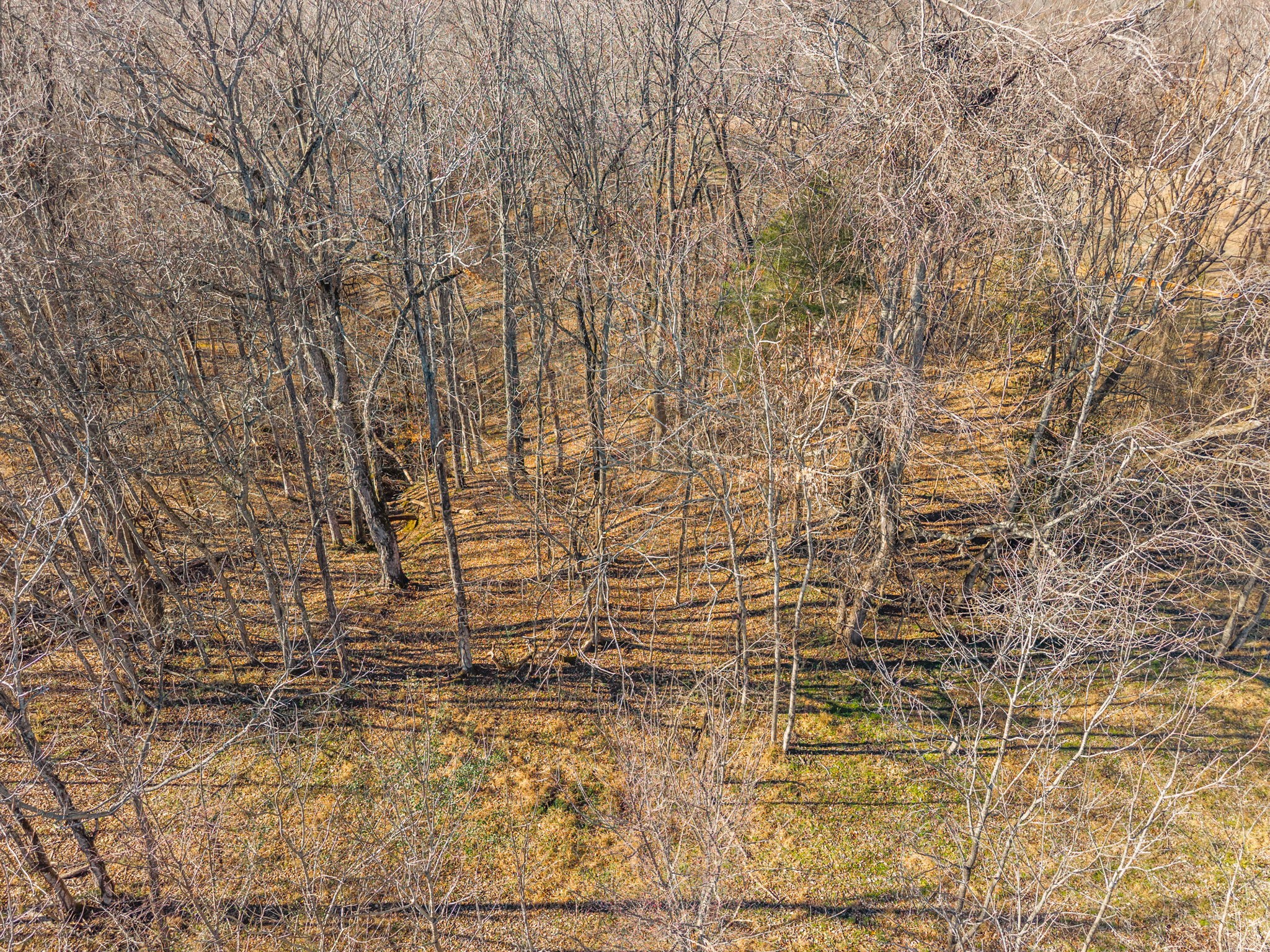 3650 Lake Road Woodlawn, TN 37191 - Photo 17 of 19 a bathroom with a shower