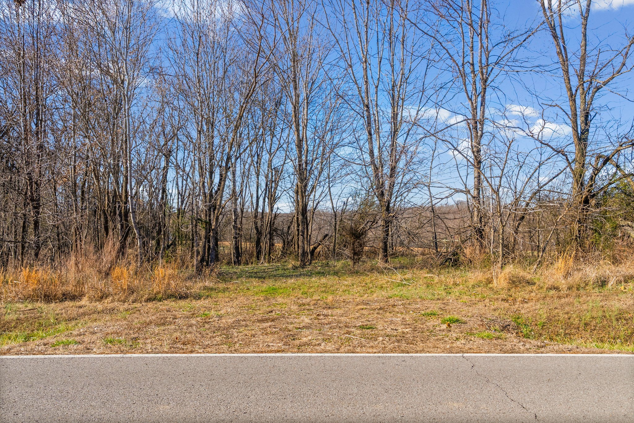 3650 Lake Road Woodlawn, TN 37191 - Photo 2 of 19 a view of a yard with a barn