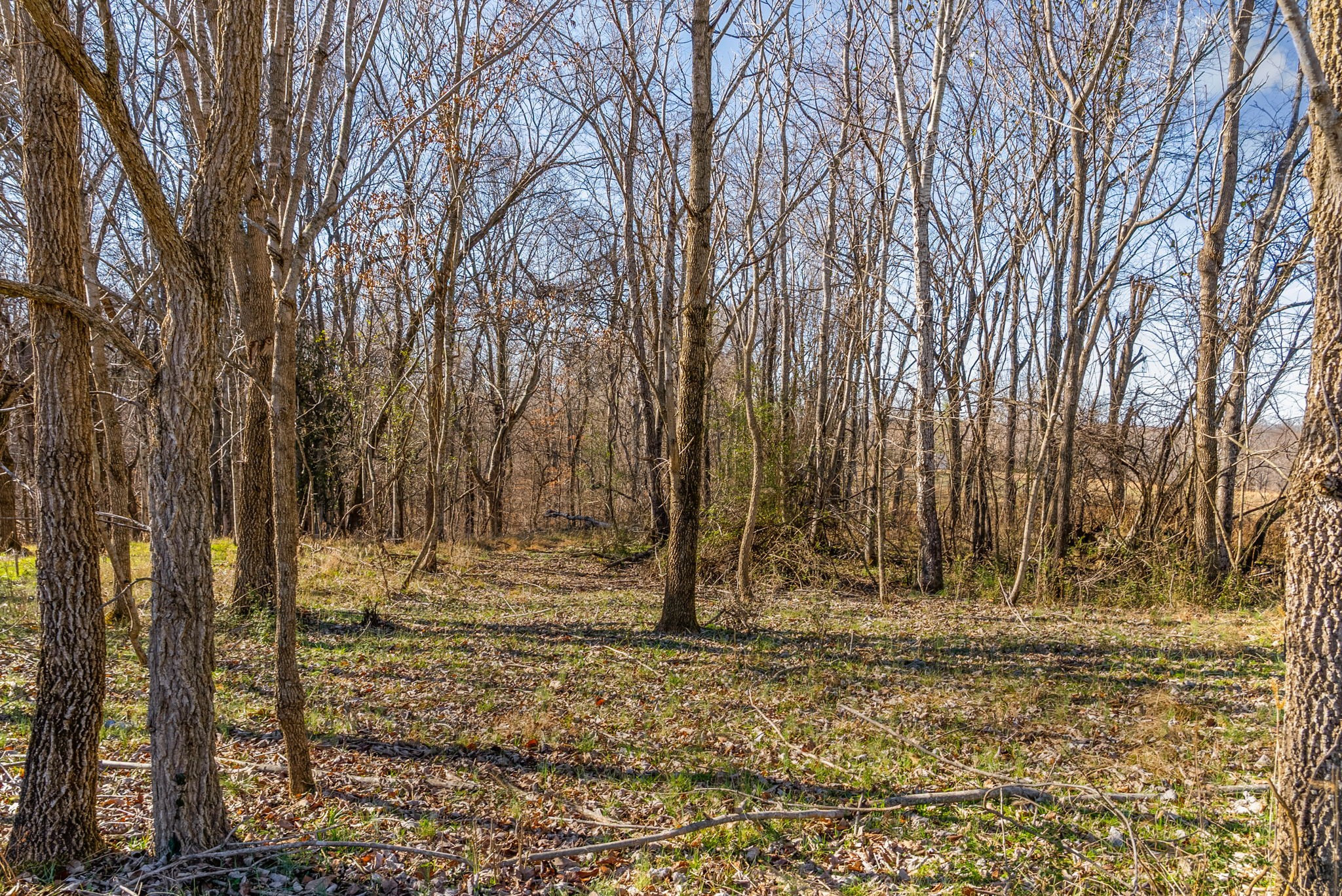 3650 Lake Road Woodlawn, TN 37191 - Photo 3 of 19 a view of covered with wooden fence