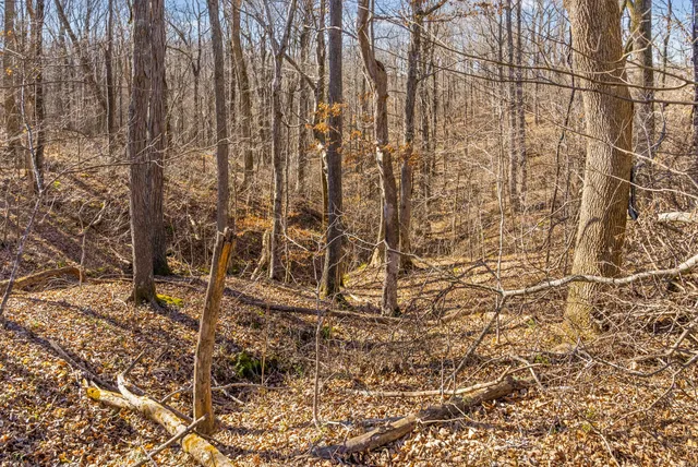 a view of ocean and a mountain