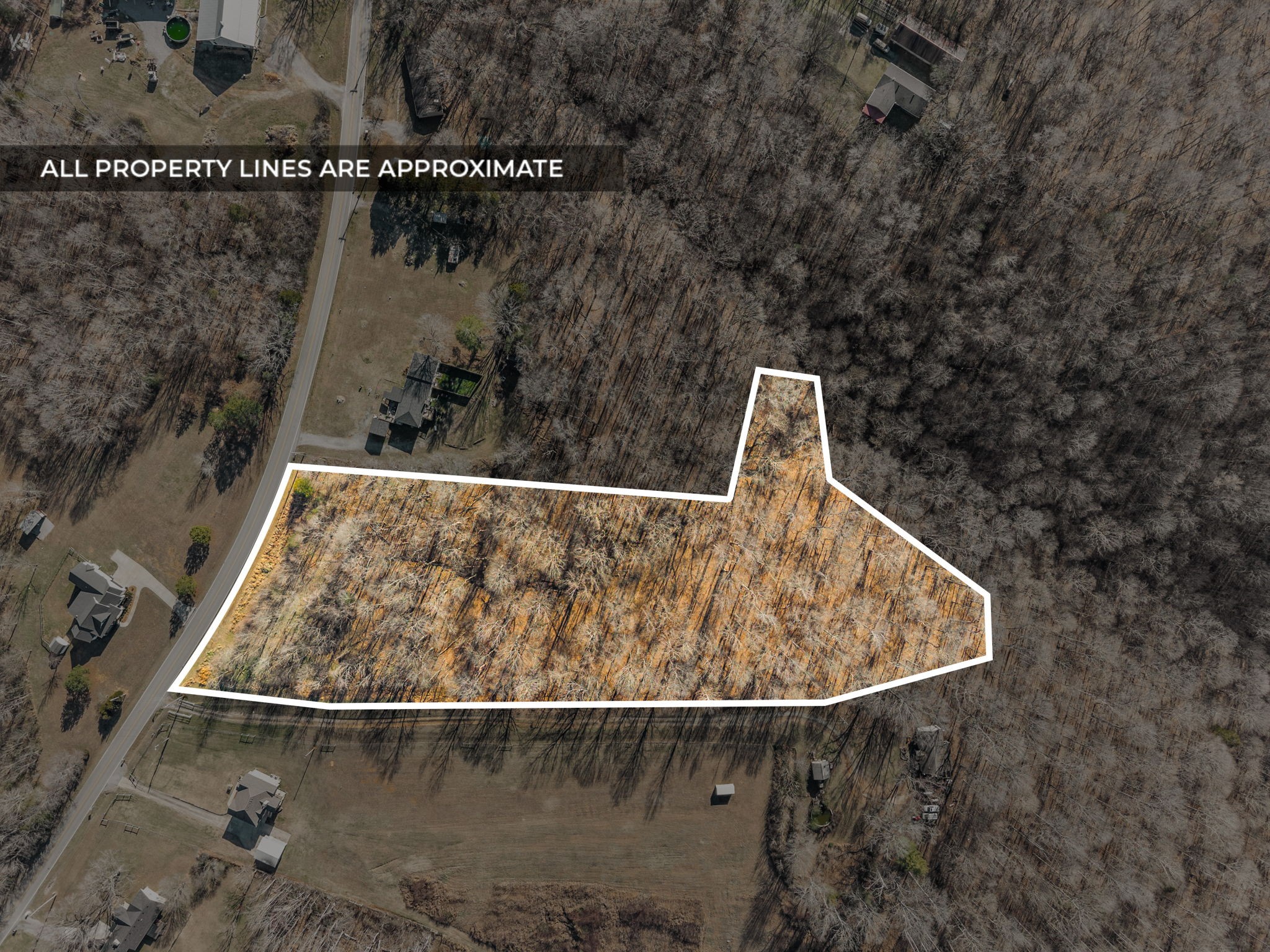 3650 Lake Road Woodlawn, TN 37191 - Photo 5 of 19