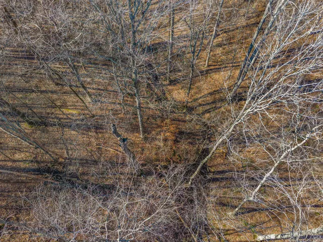 a view of street with a building