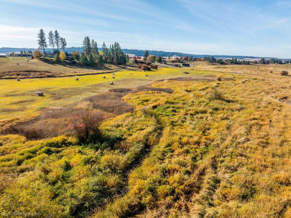 13-xxx Peone Road Mead, WA 99021 - Photo 13 of 25