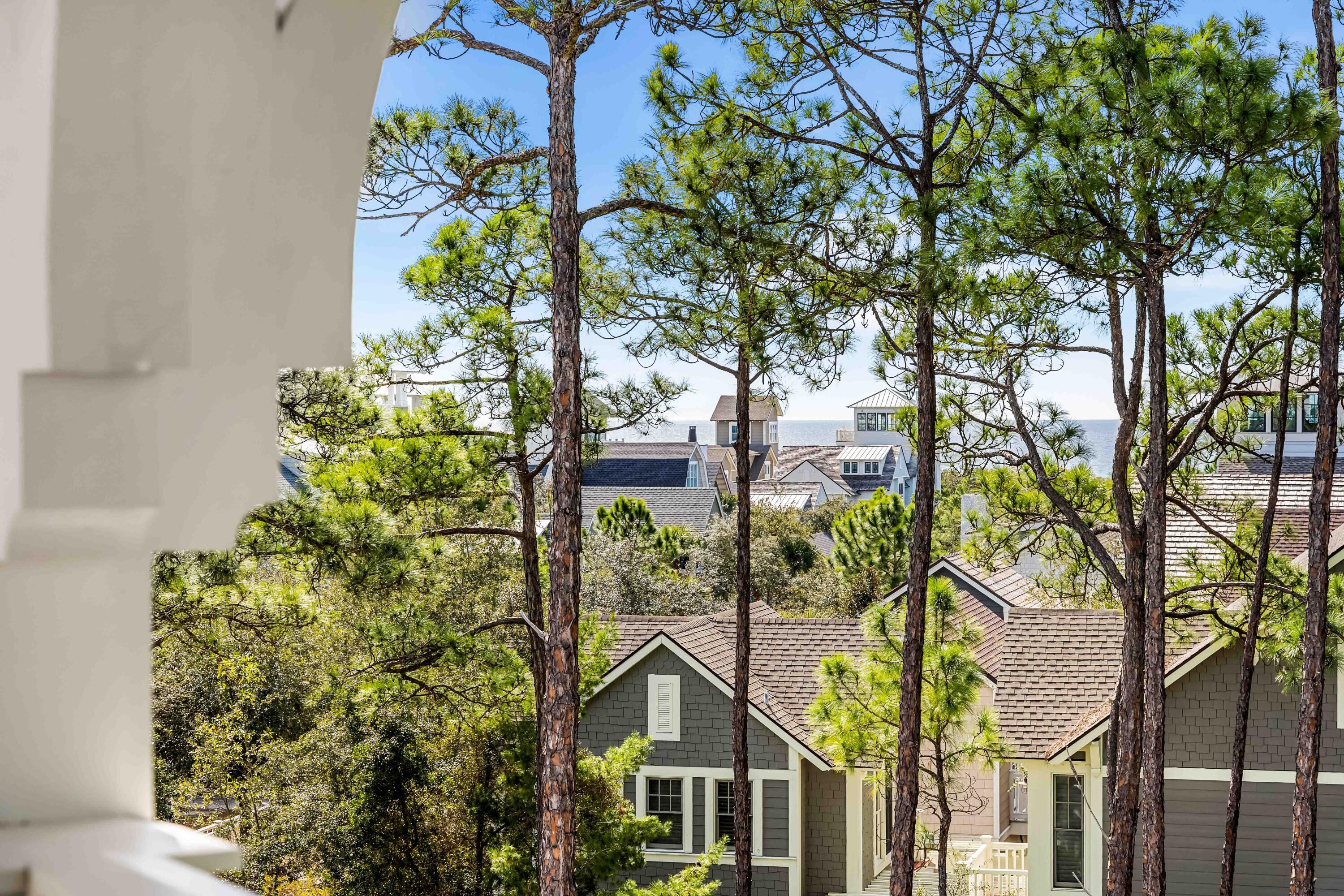 8 Shingle Lane Watersound, FL 32461 - Photo 70 of 73 8 Shingle Lane Reshoot-6