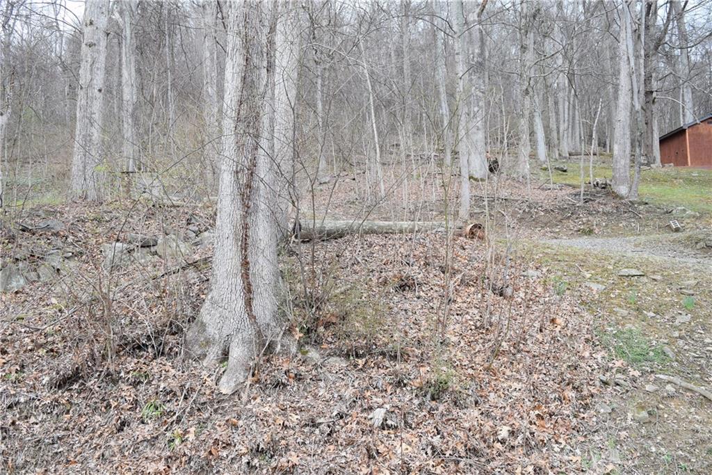 Lot 32 Braddock Run Rd