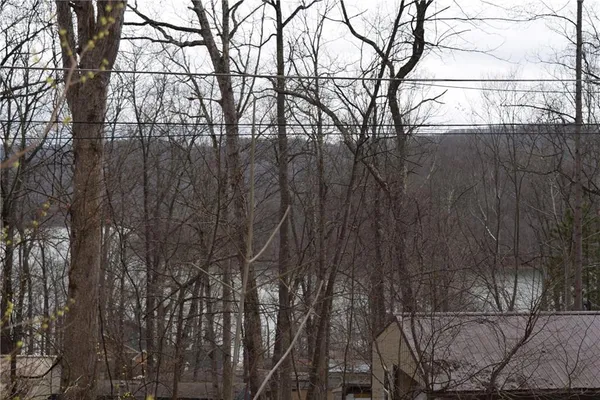 a view of trees and covered with tall trees