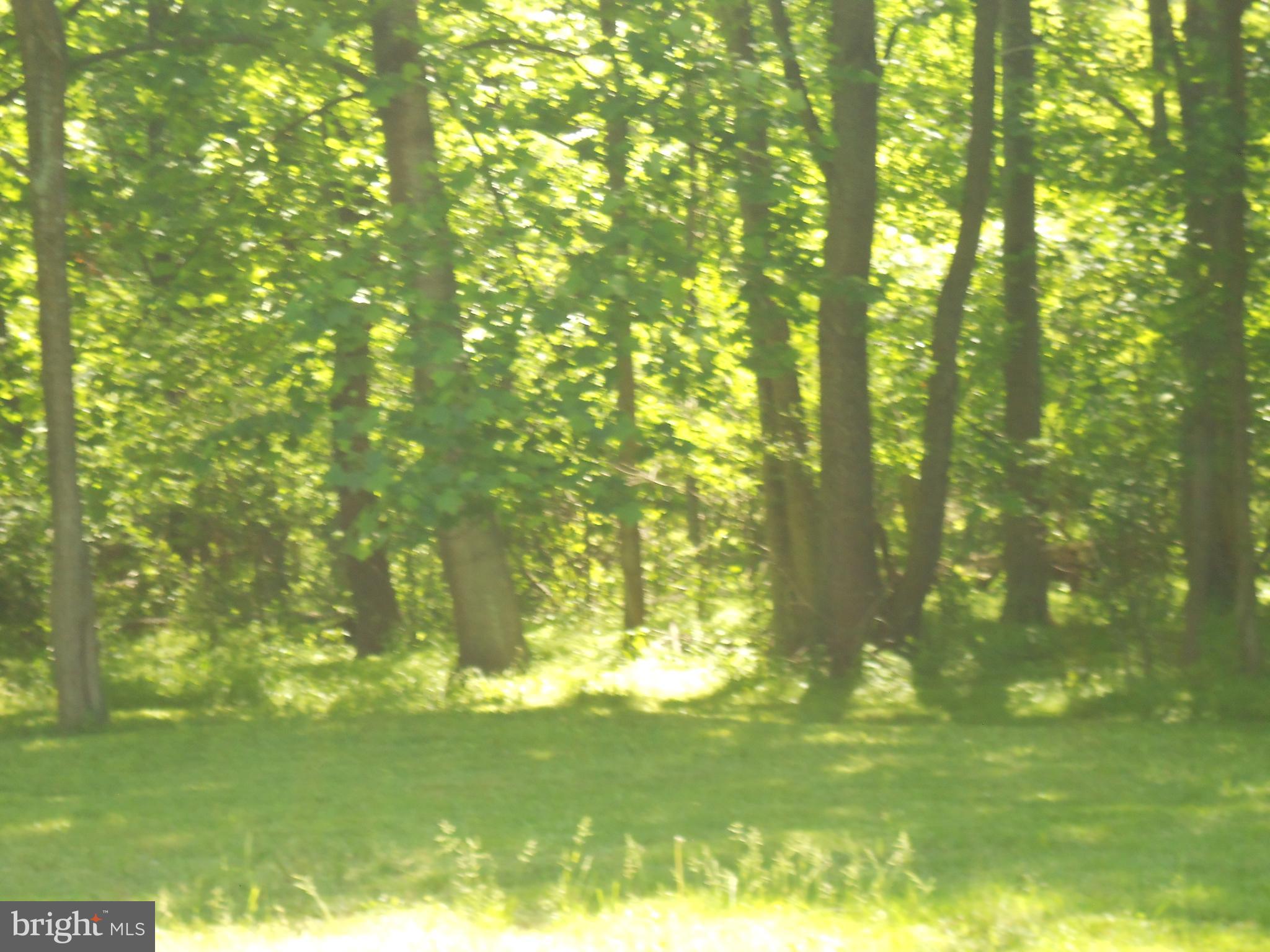 663 Carr Hill Road Gettysburg, PA 17325 - Photo 10 of 11