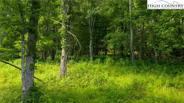 a view of a back yard