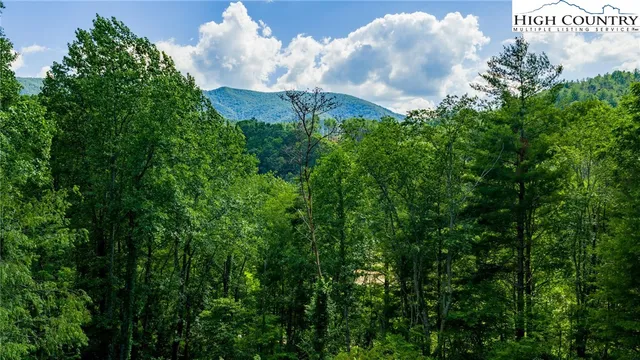 a view of a big yard with lots of green space