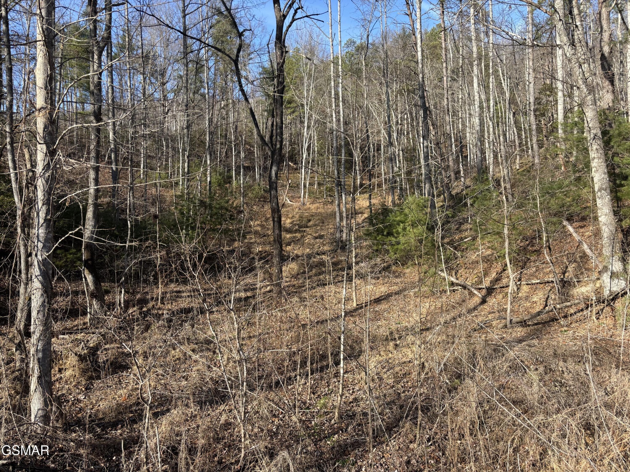 1 Bull Mountain Road Del Rio, TN 37727 - Photo 10 of 13 Gallery Image 10