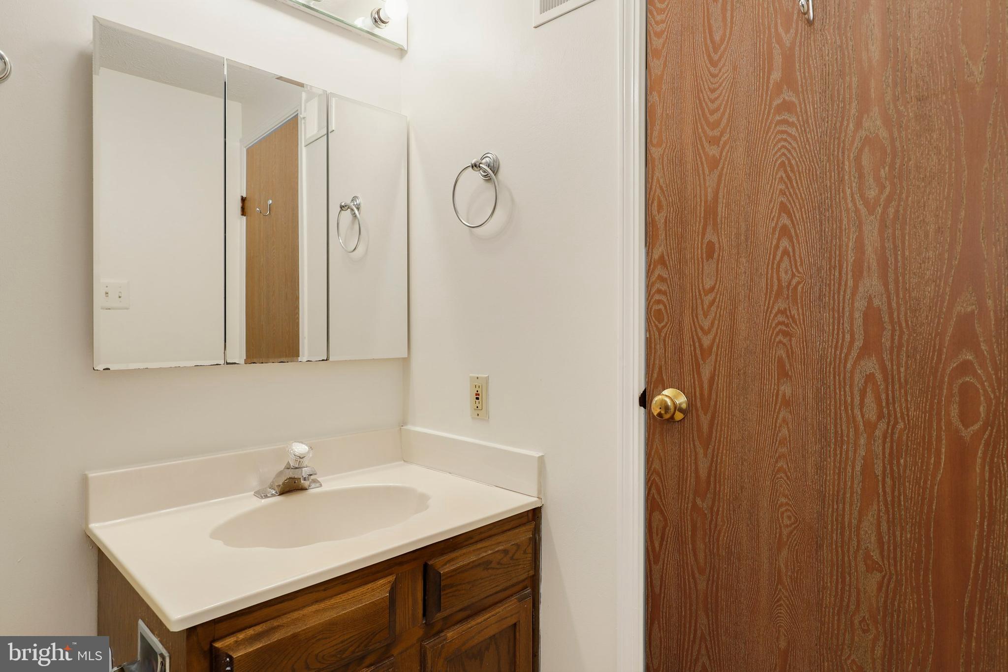 1349 David Lane Frederick, MD 21703 - Photo 15 of 24 a bathroom with a sink and a mirror