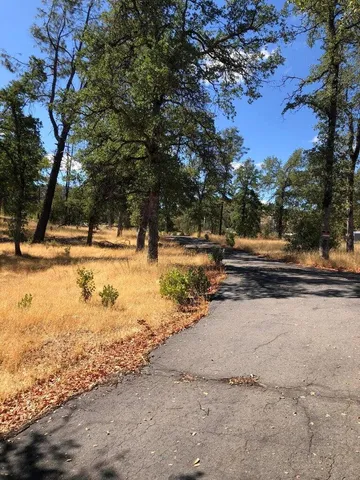 a view of road with large trees