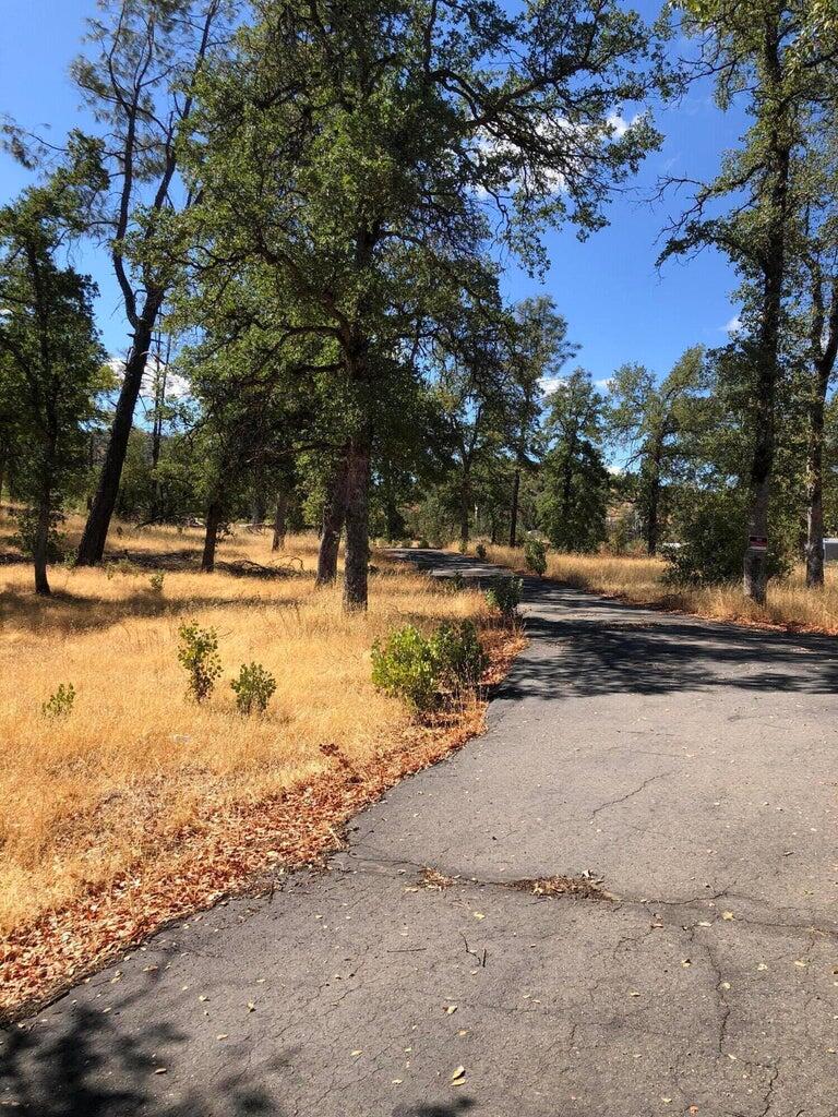 a view of road with large trees