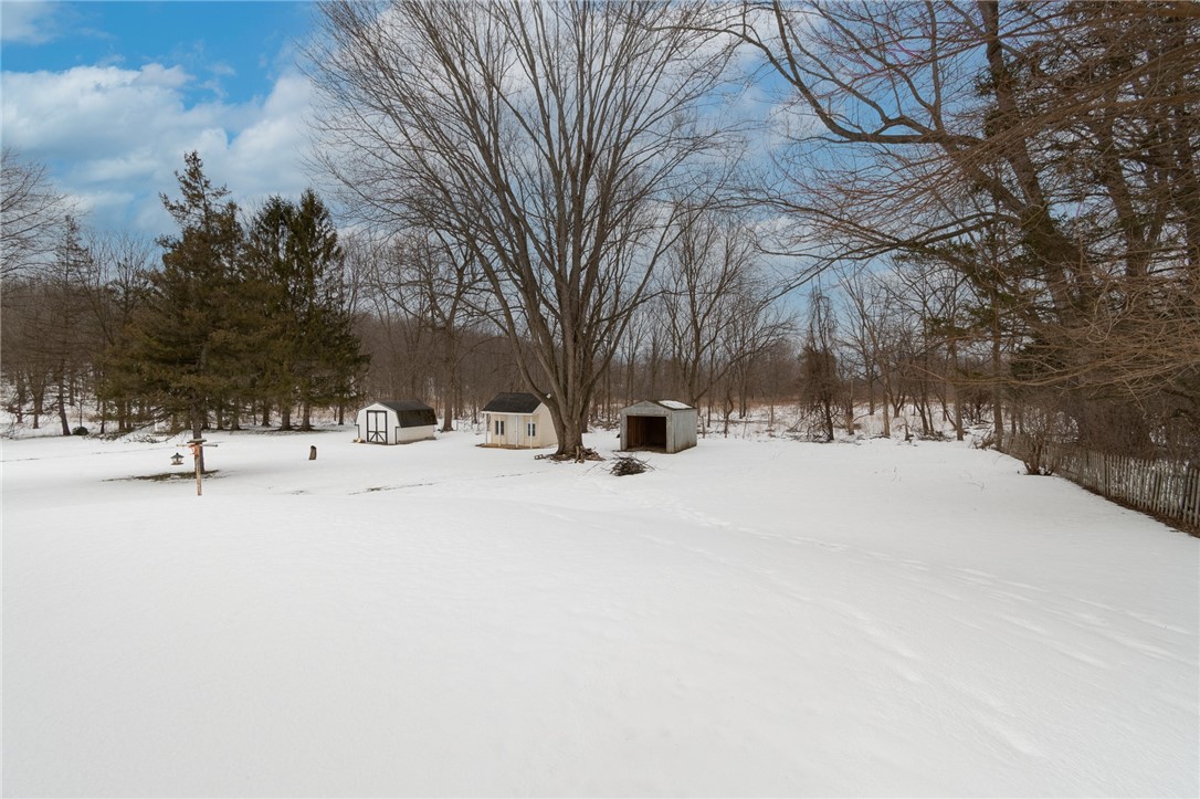 606 Silver Hill Road Arcadia, NY 14513 - Photo 4 of 41