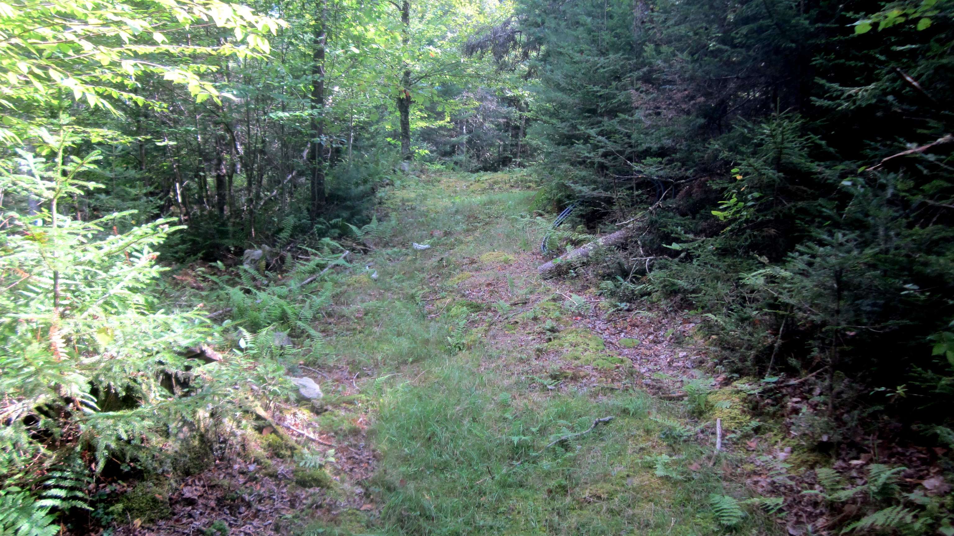 1792 Lincoln Road Ripton, VT 05766 - Photo 1 of 17