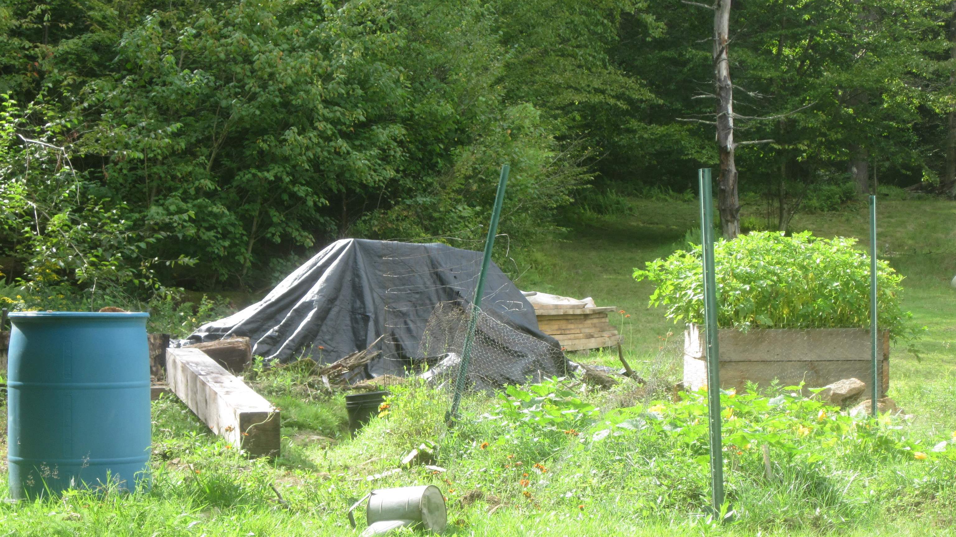 1792 Lincoln Road Ripton, VT 05766 - Photo 13 of 17