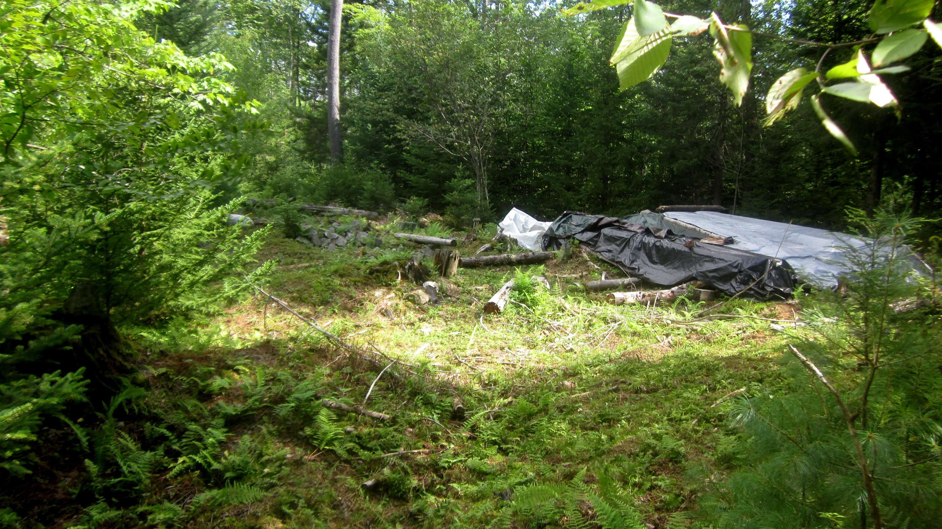 1792 Lincoln Road Ripton, VT 05766 - Photo 17 of 17