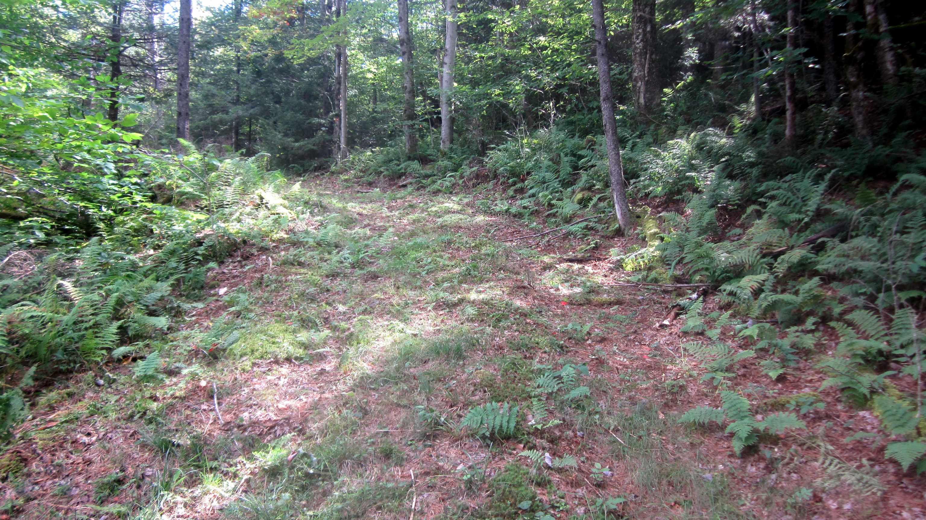 1792 Lincoln Road Ripton, VT 05766 - Photo 9 of 17