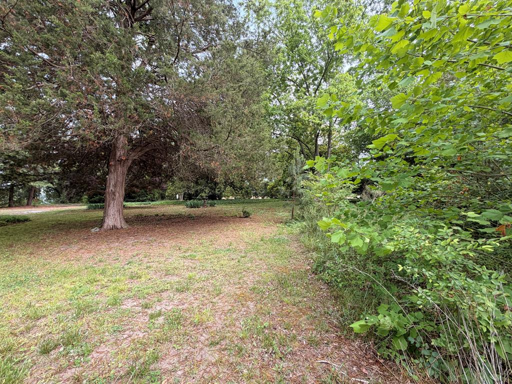 2246 Morley's Wharf Road Exmore, VA 23350 - Photo 41 of 53