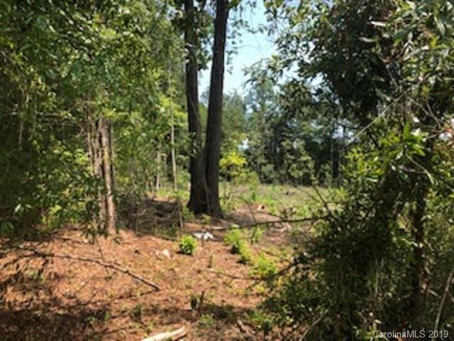 Lots #68-69 Lots Road Chester, SC 29706 - Photo 2 of 13