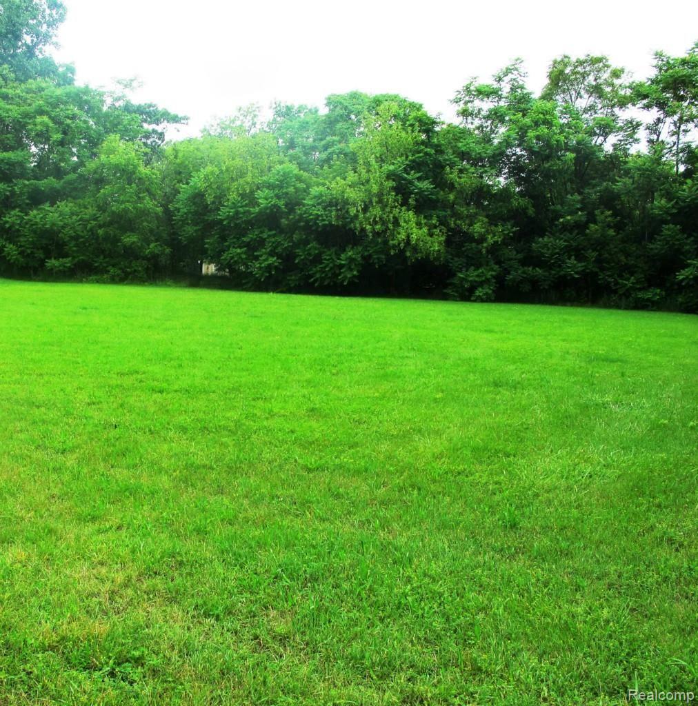 0 Mcgregor Road Dexter, MI 48130 - Photo 1 of 1 View from road.jpg