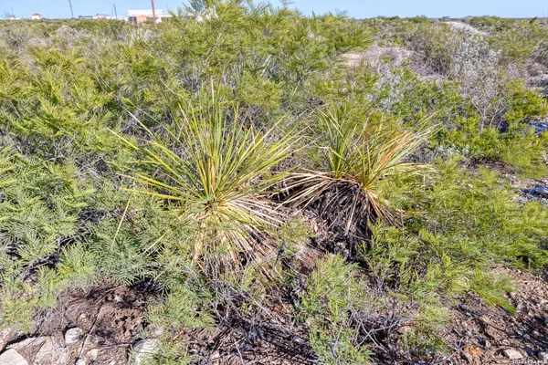 $37,500 | Tbd Tbd Salem Point Drive, Del Rio, TX 78840