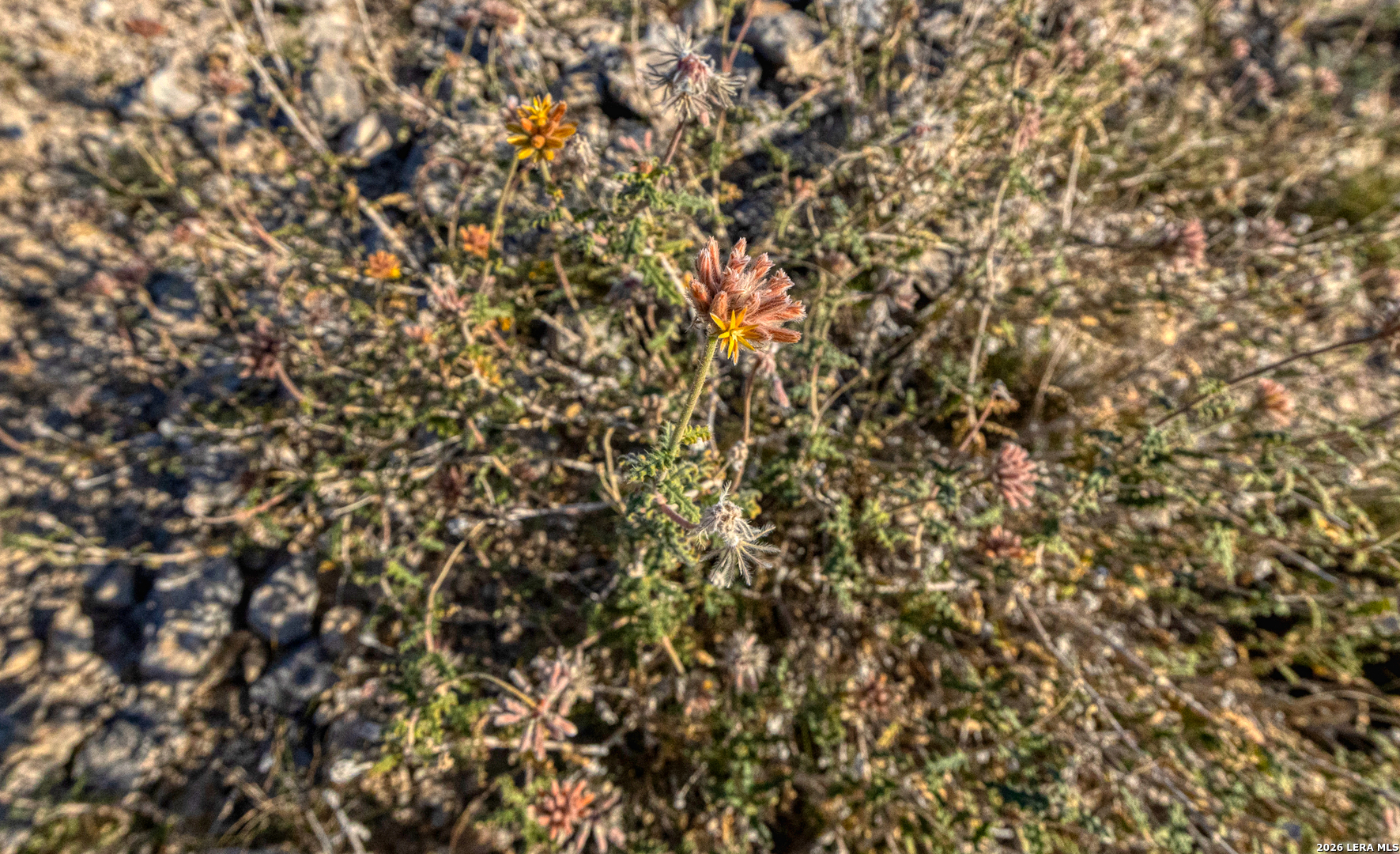 Tbd Tbd Salem Point Drive Del Rio, TX 78840 - Photo 15 of 34