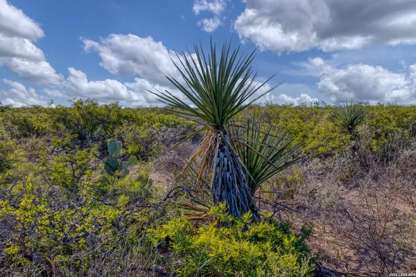 $37,500 | Tbd Tbd Salem Point Drive, Del Rio, TX 78840