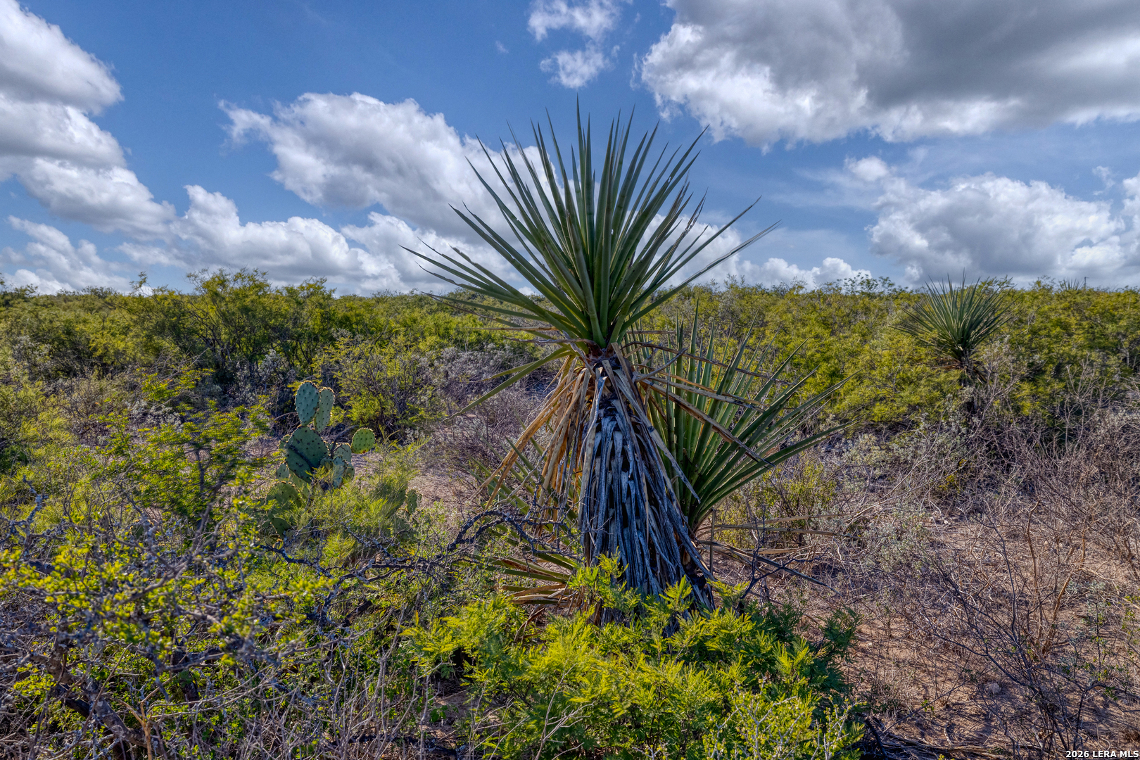 Tbd Tbd Salem Point Drive Del Rio, TX 78840 - Photo 7 of 34