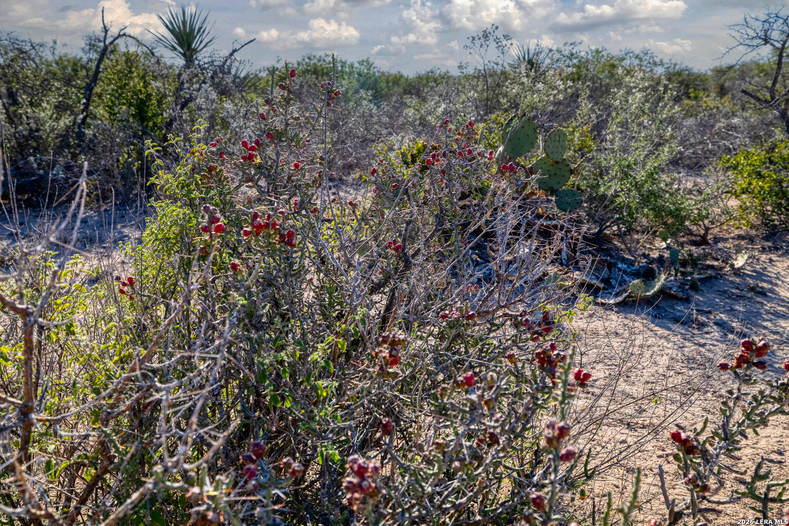 Tbd Tbd Salem Point Drive Del Rio, TX 78840 - Photo 8 of 34