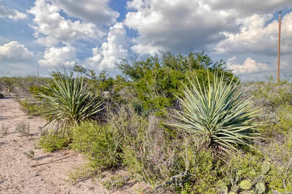 $37,500 | Tbd Tbd Salem Point Drive, Del Rio, TX 78840