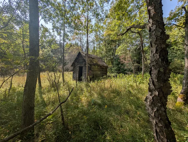 $109,900 | 15744 Creamery Road, Kaleva, MI 49645