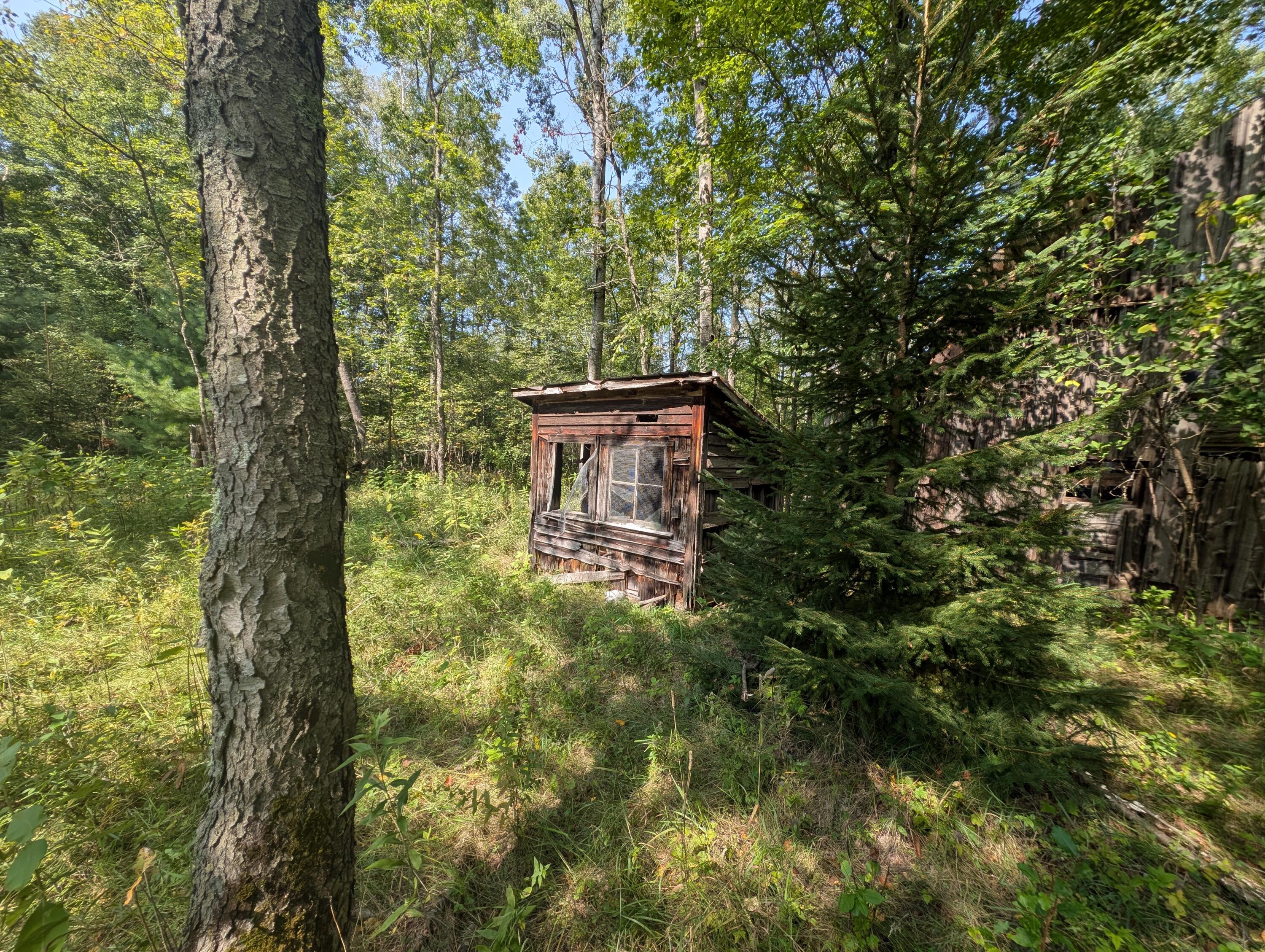 15744 Creamery Road Kaleva, MI 49645 - Photo 13 of 15 PXL_20250909_181322278