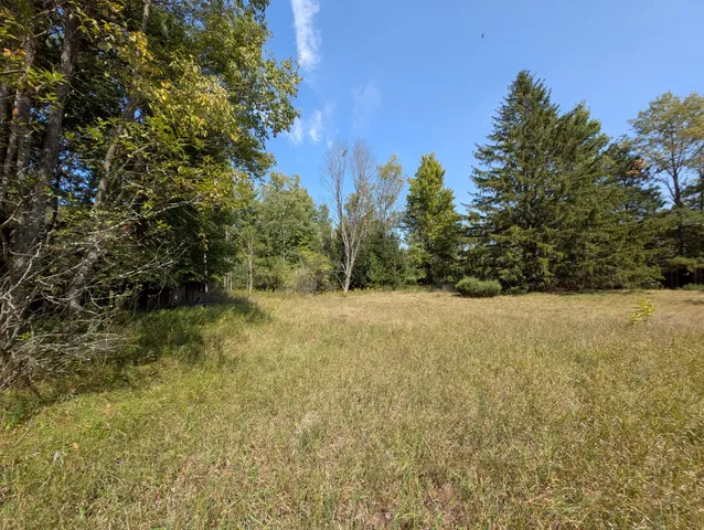 $109,900 | 15744 Creamery Road, Kaleva, MI 49645