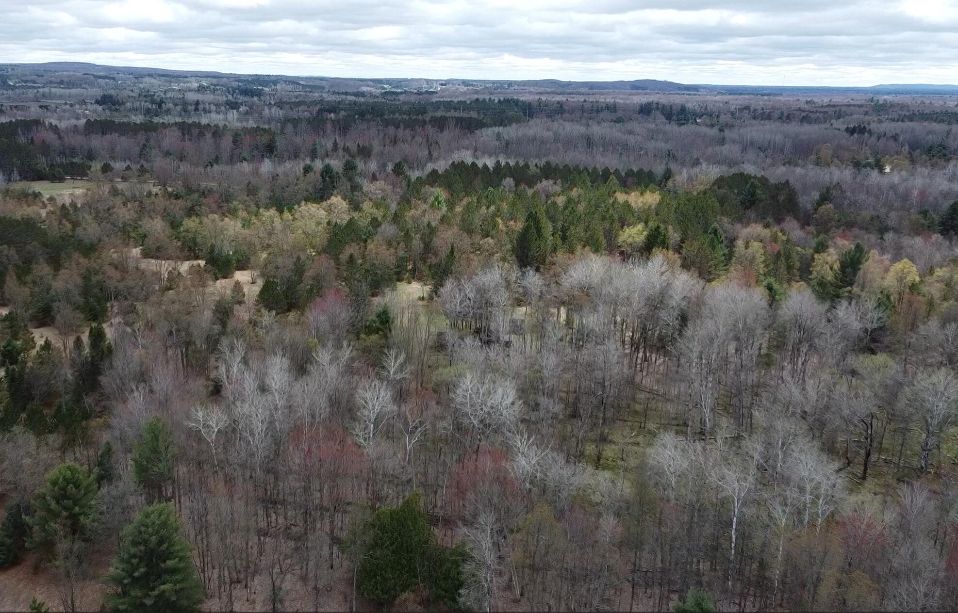 15744 Creamery Road Kaleva, MI 49645 - Photo 15 of 15 Southward view from NE corner