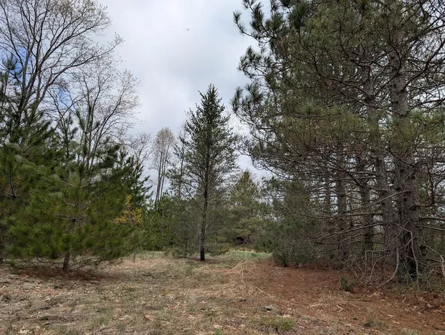 $109,900 | 15744 Creamery Road, Kaleva, MI 49645