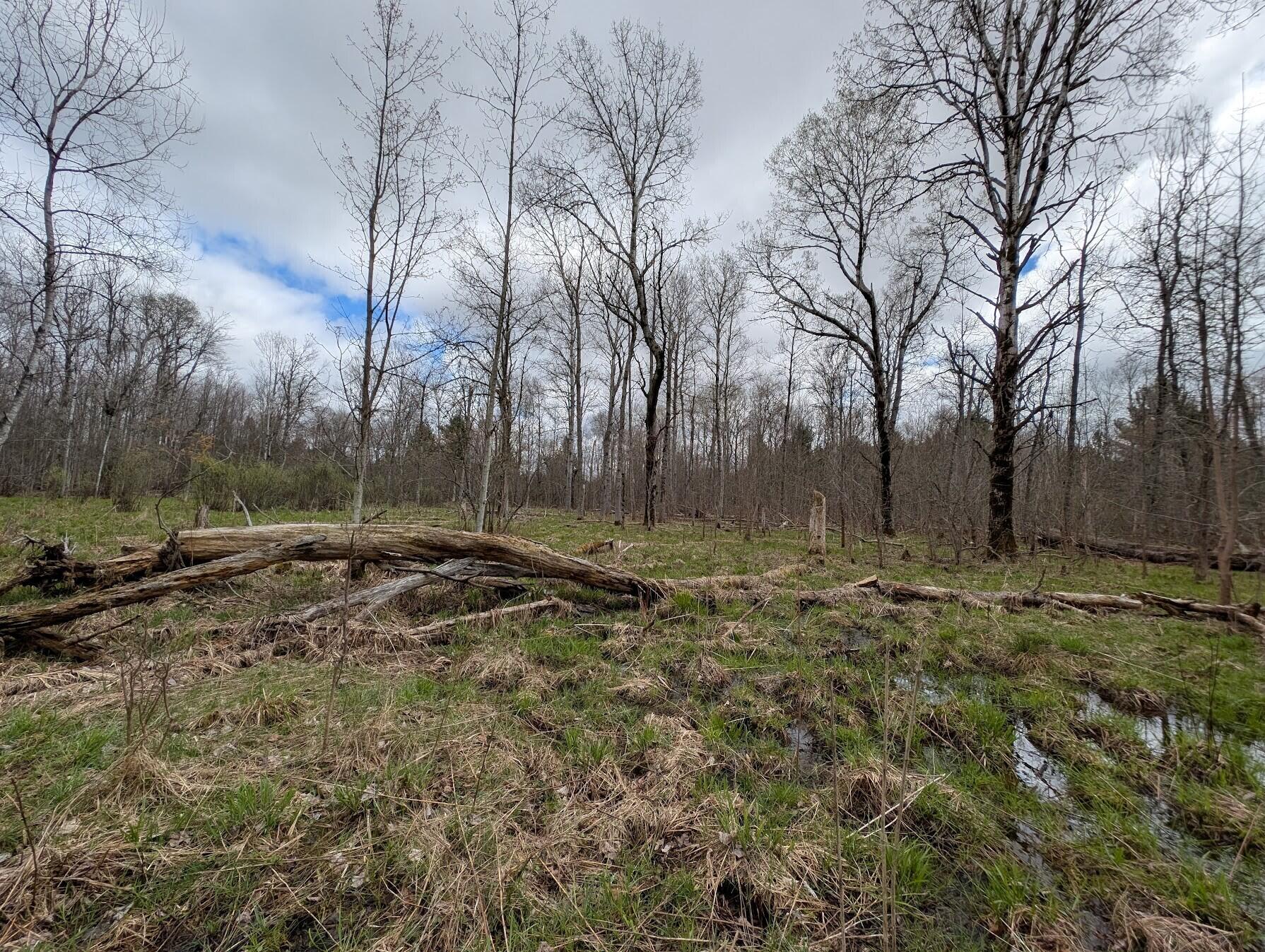 15744 Creamery Road Kaleva, MI 49645 - Photo 5 of 15 5