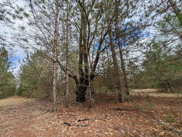 $109,900 | 15744 Creamery Road, Kaleva, MI 49645