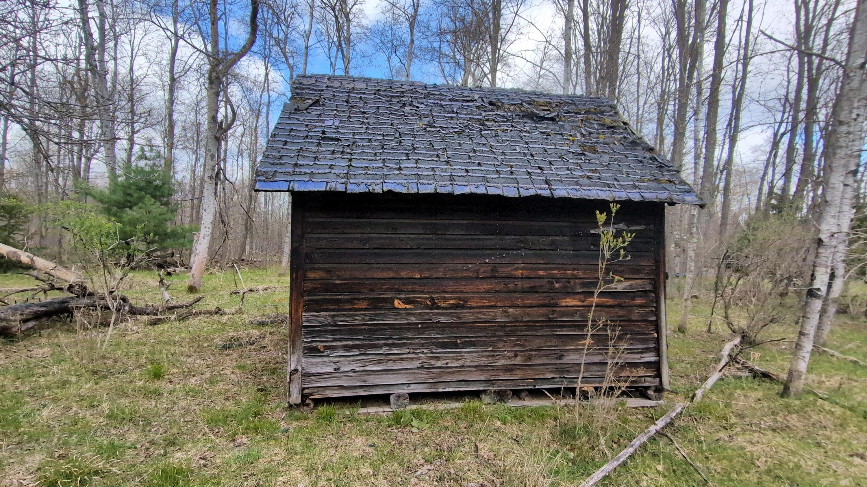 15744 Creamery Road Kaleva, MI 49645 - Photo 8 of 15 8