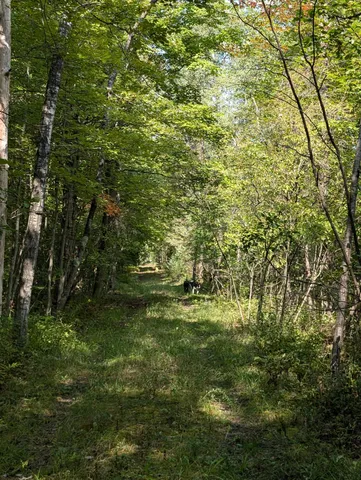 $109,900 | 15744 Creamery Road, Kaleva, MI 49645