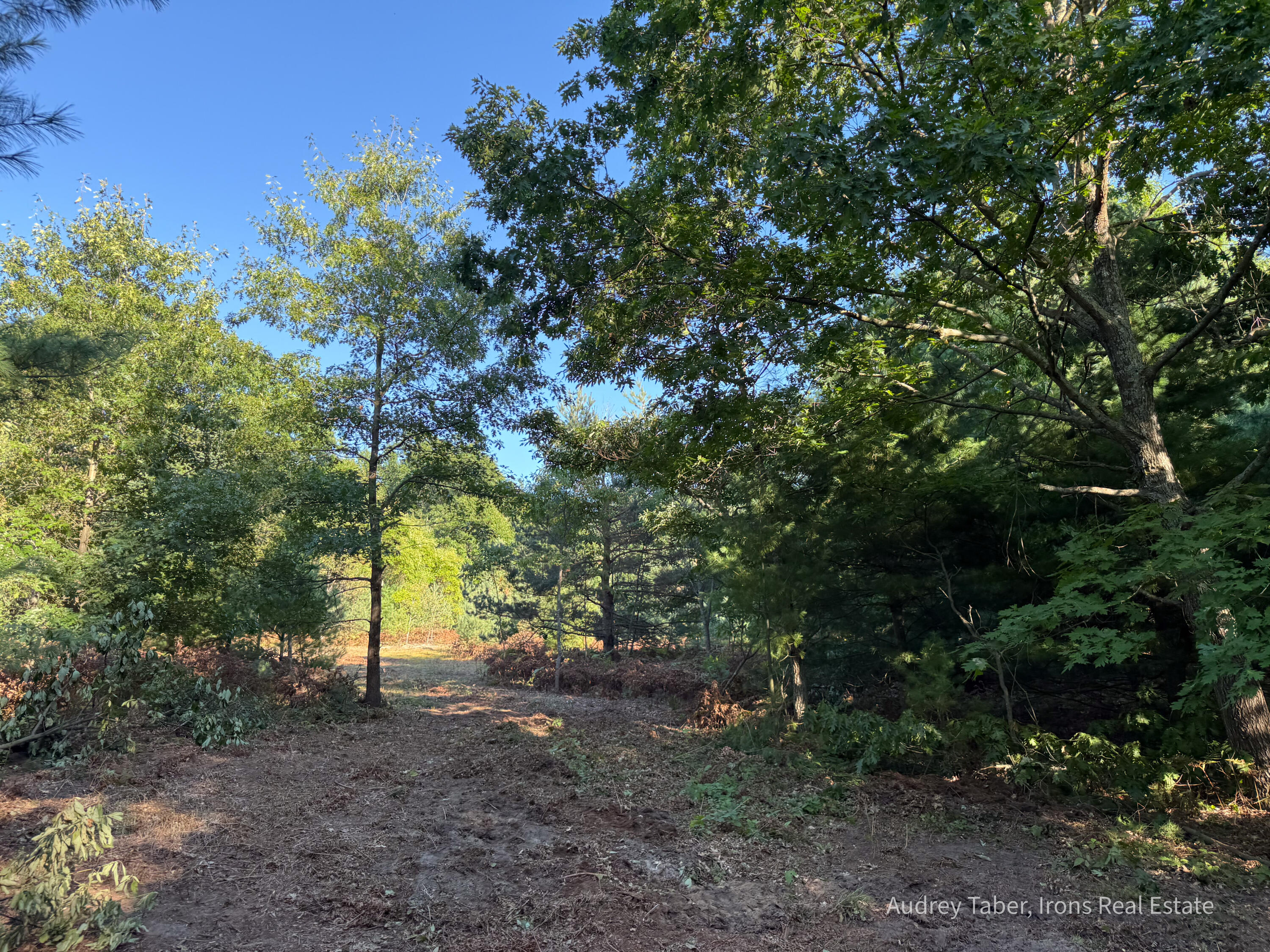 1-5 Clements Road Kaleva, MI 49645 - Photo 6 of 61 ClementsRd-09